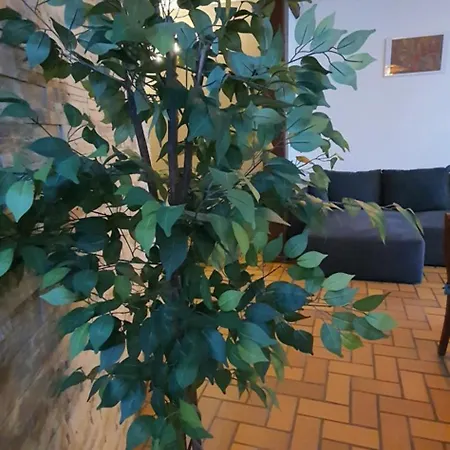 アパート Cramiland - 01 *